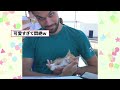 【2ch動物スレ】腕の中の子猫と戯れ合う→ 可愛くて悶絶ww