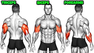 Build Bigger Arms at Home – No Gym, No Equipment | Forearms, Biceps, Triceps