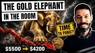 The Gold Elephant In The Room...Is It Time To Panic?