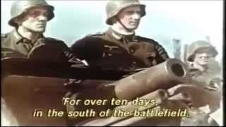 The 9th and last army of Hitler in World War II