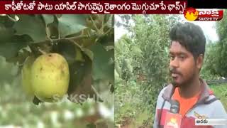 Apples can be grown in Visakhapatnam Agency | అరకులో యాపిల్ సాగుకు అనుకూల వాతావరణం..