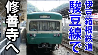 【いずっぱこ】JRから特急が乗り入れる私鉄路線に乗ってみた《三島駅～修善寺駅》【伊豆箱根鉄道駿豆線】