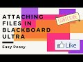 How to Attach a Document in Blackboard Ultra (Attach a file in BB Ultra)