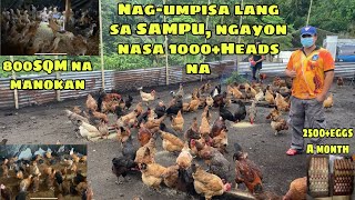 NAG-UMPISA LANG SA SAMPUNG MANOK, NGAYON NASA 1000+ HEADS NA | 800SQM FARM NI SIR LESTER (PART1)