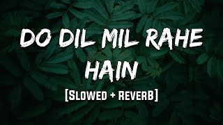 Do Dil Mil Rahe Hain | Pardes | [Slowed + Reverb] | LoFi | Mood 90's