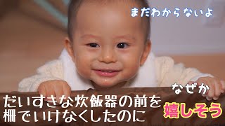 つかまり立ちやハイハイをベビーフェンスで封印【生後11ヶ月】赤ちゃんの日常 成長記録  11 months after birth in the baby circle