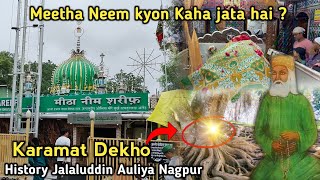 Zinda Karamat Meetha Neem Dargah Nagpur | Inhen Meetha Neem kyon Kaha jata hai ? Nagpur Dargha Vlog