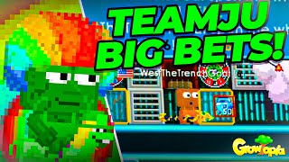 #TEAMJU BIG BETS!! 🤑 GIVEAWAY - Growtopia Casino