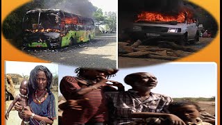 Ethiopianism.tv - News Analysis የዜና ንትርክ CrossTalk July 14, 2016/30th