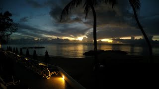 Barbados Whistling Frogs. Relaxing sounds