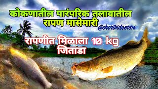 कोकणातील मासेमारी |रापणीत मिळाला 10 kg जिताडा |agri koli | Kokan 10 kg jitada @foodculture1516