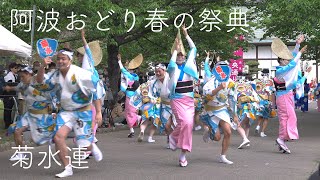 阿波おどり春の祭典・菊水連_20220501 Awaodori in Tokushima Japan