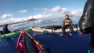 Maui Spearfishing