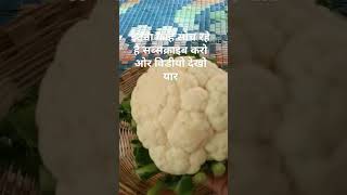 Bina jhanjhat ka nashta taiyar #short cooking #YouTube shorts #short #Pushpanjali cooking kitchen