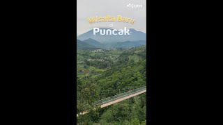 Tempat Wisata Hits dan Viral Baru di Puncak | Cianjur #shorts #wisataviral