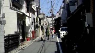 京都の花街宮川町2010：京おどりと満開の美しい桜