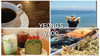 [VLOG] 맥락없는 나의 일상🫤( 부산 갔다🌊 서울가고🚈인천가고 고앵이 보고🐱 밥도 묵고 호주 친구🦘 만나고 근본없는 아무말 일상 :)