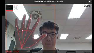 Gesture Classification Demo