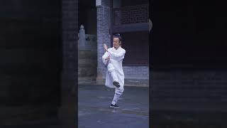 武当太极拳十八式《第十式》武当太极拳 健康养生 武当Wudang tai Chi太極拳です 무당 태극권