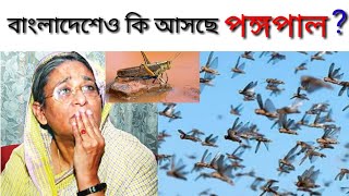 পঙ্গপাল কি | ঘাসফড়িং বা পঙ্গপাল এলে দুর্ভীক্ষ হয় কি | পঙ্গপাল কেনো আসে | পঙ্গপাল কি খাওয়া যায়