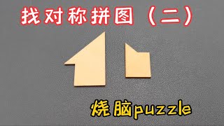 找对秤拼图（二）烧脑puzzle，把两个木块拼出一个对称图形，益智