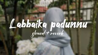 Labbaika padunnu slowed reverb | Labbaika padunnu | Malayalam song slowed reverb | Musikova🤎 |