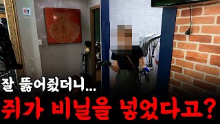 배관에 비닐을 넣은 범인이 누구라고? | 하수구 대마왕 😈