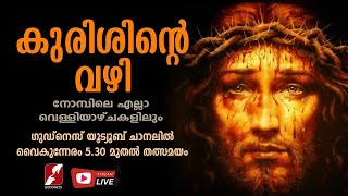 കുരിശിൻ്റെ വഴി | Way of the Cross | Malayalam Kurishinte Vazhi | Divine | Goodness Tv