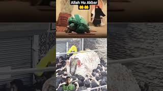 Ali ruko mein 🤲🤲gaye aur Ada Kiya sajda kaha Ali ne jab 🤲🤲Subhan 🤲🤲Rabbi Al aalha #shortsvideo 🤲🤲