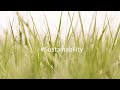 #Sustainability / EUROPASTRY