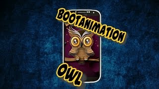 Bootanimation Owl