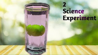 Two crazy science experiments||Turmeric, Water, Detergent and Lemon||Easy experiment to do at home