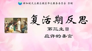 2021年复活期第三主日反思音频 - 应许的圣言