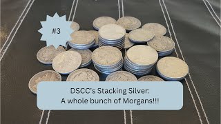 DSCC Stacking Silver Ep 3: A whole bunch of Morgan Dollars