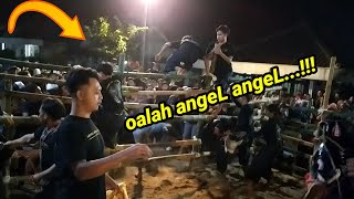 Bantengan Lembu wariso mengamuk di desa slamparejo jabung,  kalapan makximal