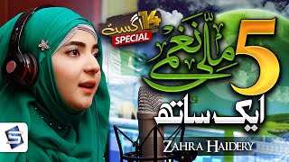 Pakistan Milli Naghma Medley | Zahra Haidery | 14 August Independence day of Pakistan | Studio5