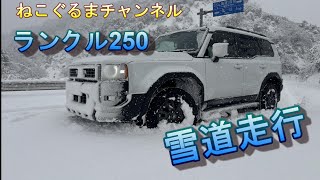 ねこぐるまチャンネル　ランクル250　スノードライブ　スノーテスト