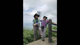 油桐花開時 大山背古道健行