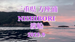 【チヌ筏・かかり釣り】水深30mの養殖小割でチヌ釣り！  三重県 方座浦 NISHIBORI渡船にて！！ #shorts