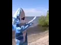 Sharkira Sharkira 🎶🦈