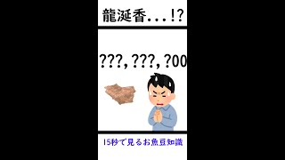 【なんでも鑑定団】15秒でわかる龍涎香...？【ゆっくり解説】