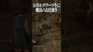 学校・寮ともに特定済みの万引き犯に魔法でお仕置き：ホグワーツ・レガシー / Hogwarts Legacy