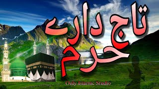 Tajdare Haram New 2023 Naat Sharif 🌹 | Beautifull ❤ Video | Nawal Khan | Only Islamic Studio