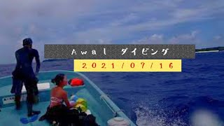 【与論島ダイビング】日記 2021/07/16 Awalダイビング