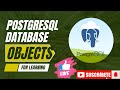 📌 PostgreSQL Database Objects Explained: Tables, Views, Indexes & More! 🚀