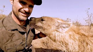 Cute Hyena Compilation | The Lion Whisperer