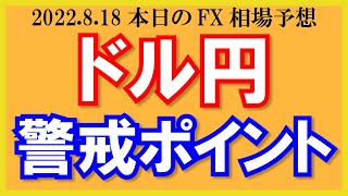 【ドル円】日足抵抗帯ゾーン突入？上昇停滞に警戒！【2022/8/18.FX相場予想】