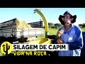 [VIDA NA ROÇA] Acompanhamos o Pecuarista: Hugo Leonardo na fabricação da Silagem de Capim- Parte 01🌵