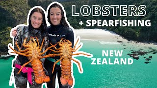 WHEN LOBSTERS ATTACK! Crayfish diving and SPEARFISHING in the far north NZ