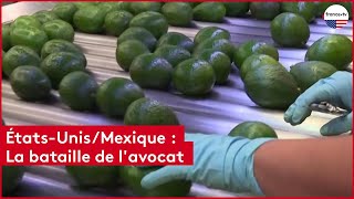 États-Unis/Mexique : La bataille de l'avocat